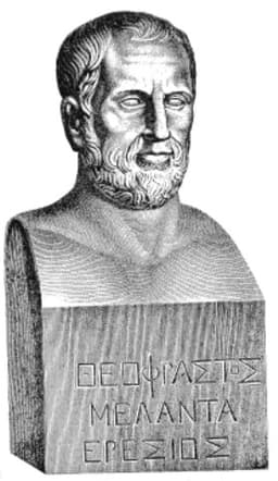 Portrait of Theophrastus